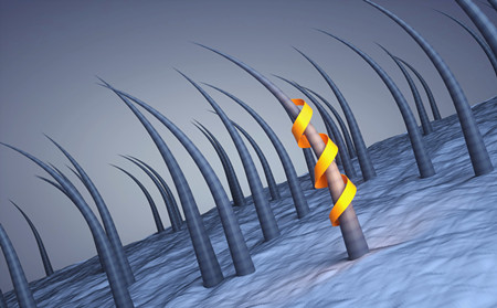 潍坊皮肤病治疗医院,头癣