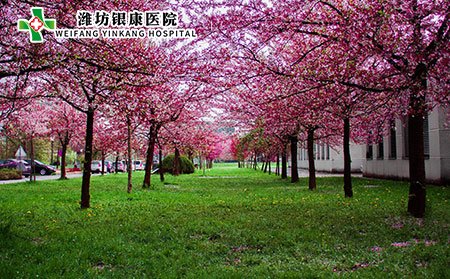 荨麻疹的分类方法有哪些?