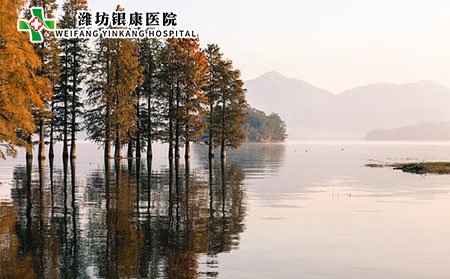 造成荨麻疹的外因有哪些?